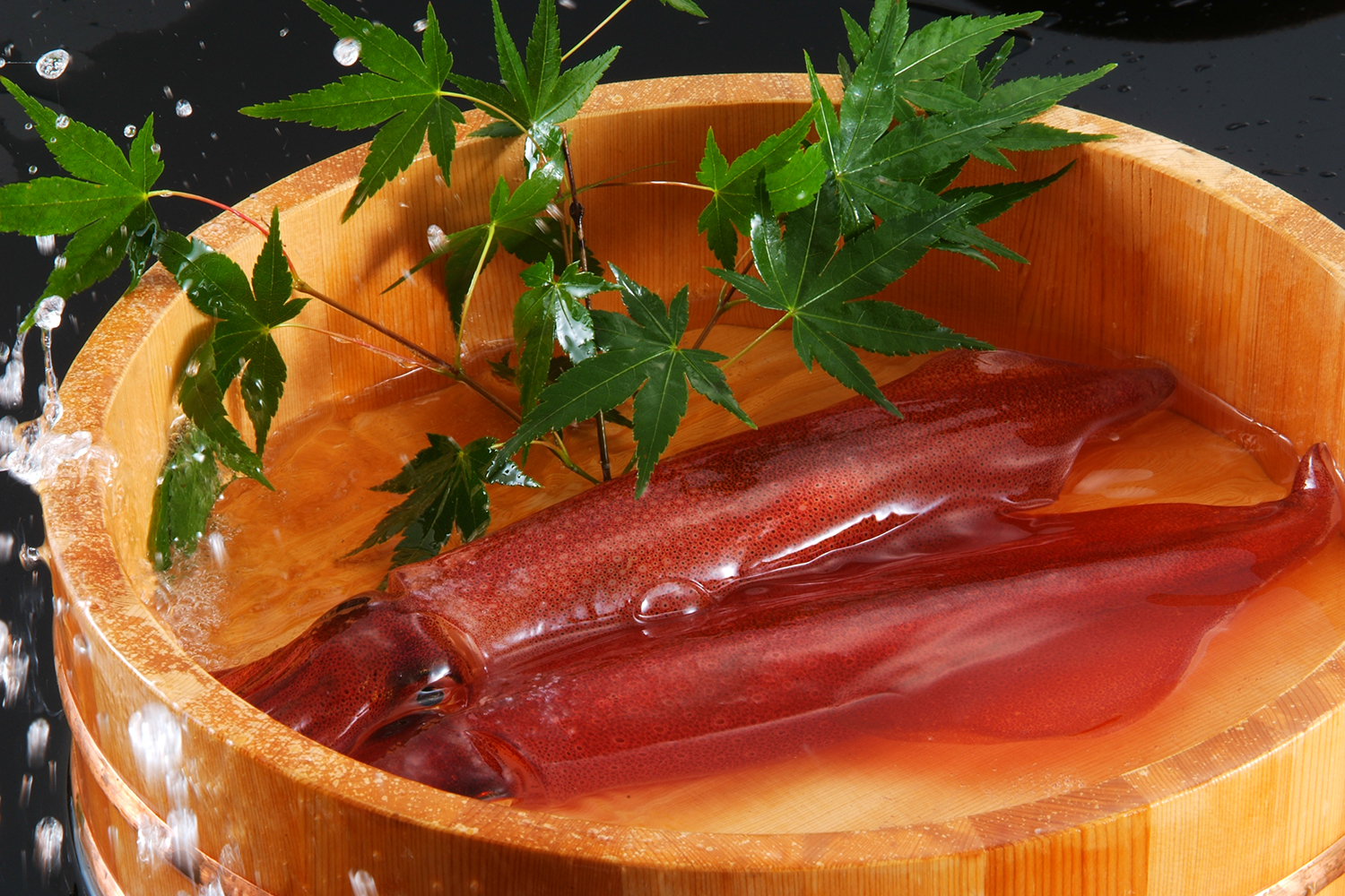 【6月限定】活イカと丹後但馬の旬を愉しむ豊かな初夏のひと時-活イカ付きプラン-予約販売開始-「一望館 はなれ櫂」