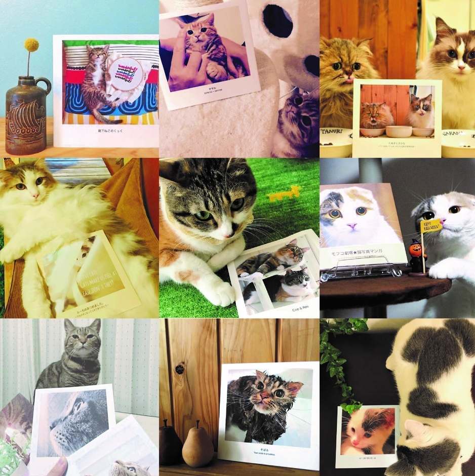 応募作品イメージ