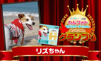 PS保険×PET TIMES 『わんフォトモデルオーディション2017 Autumn』 応募総数2,770通からジャックラッセルテリアがグランプリ受賞！