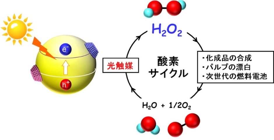 図1 光触媒による過酸化水素合成と酸素サイクル