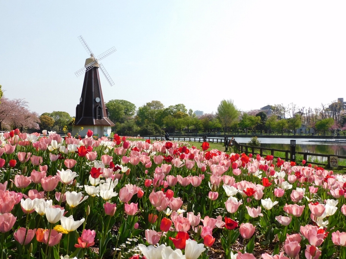 春の浮間公園の様子（2021年撮影）