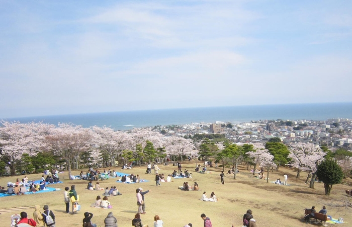 かみね公園頂上からの眺望