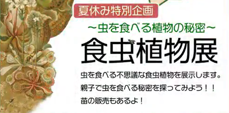 【神代植物公園】8/9まで　夏休み特別企画「～虫を食べる植物の秘密～『食虫植物展』」