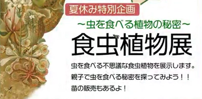 【神代植物公園】8/9まで　夏休み特別企画「～虫を食べる植物の秘密～『食虫植物展』」