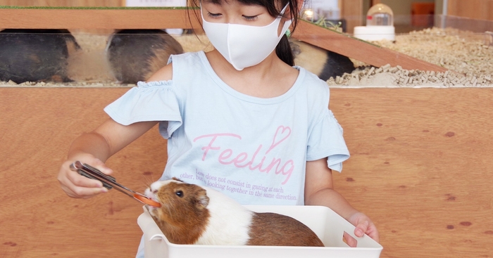 動物たちにごはんをあげて仲良くなろう!