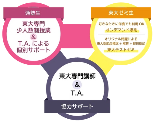 (株)臨海　”東大プロジェクト”　東大合格者数7年連続150名超の指導力をいかし、今冬もテストゼミや特別講座を開催！高1から既卒まで、東大合格をサポート！