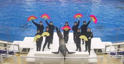 【アクアワールド茨城県大洗水族館】アクアワールド・大洗×水戸葵陵高等学校書道部 一文字一文字に魂を込めて“一筆入魂”の「書道パフォーマンス」２０２３年１２月２７日（水）開催