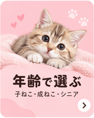 年齢で選ぶ