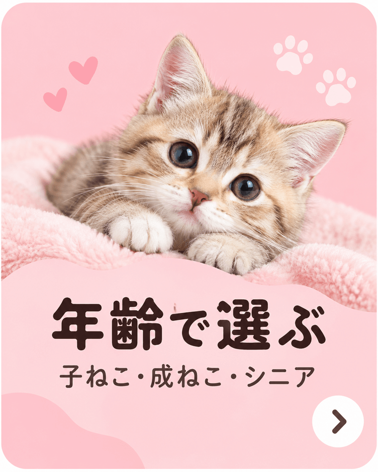 年齢で選ぶ
