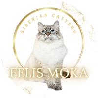 サイベリアン＆ネヴァマスカレードキャッテリー【Felis Moka】