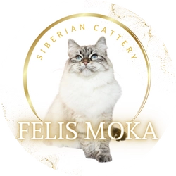 サイベリアン＆ネヴァマスカレードキャッテリー【Felis Moka】