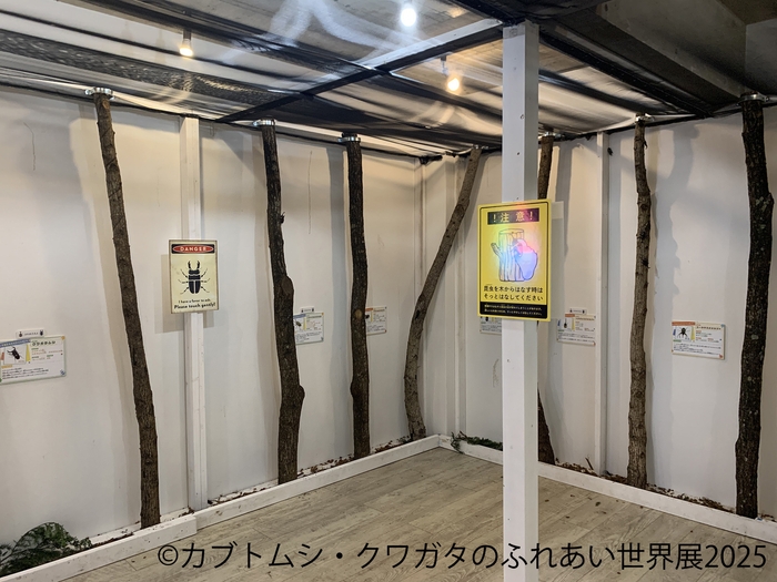 カブトムシ・クワガタのふれあい世界展 展示:ふれあいイメージ