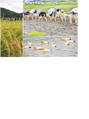 過去開催時の様子1