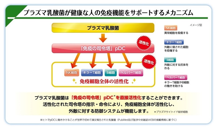 図１　プラズマ乳酸菌が健康な人の免疫機能をサポートするメカニズム