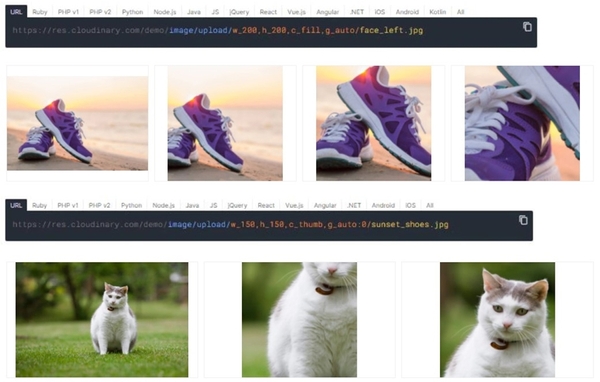 URL内にサイズ表示
