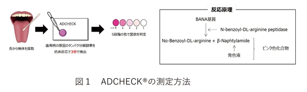 図1 ADCHECK(R)の測定方法