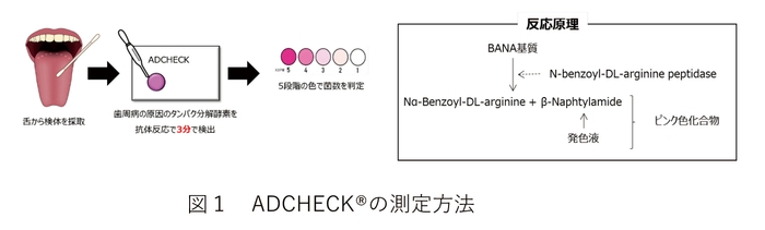 図1 ADCHECK(R)の測定方法