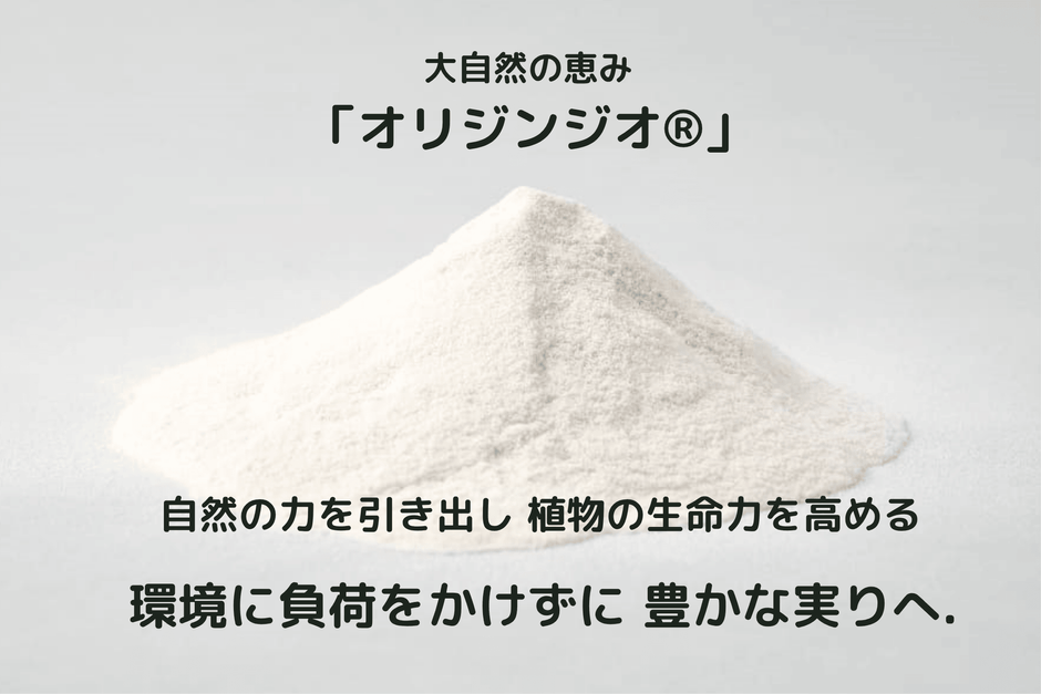 オリジンジオ(R)