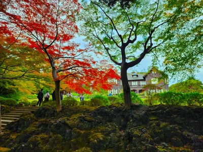 洋館と紅葉のフォトスポット