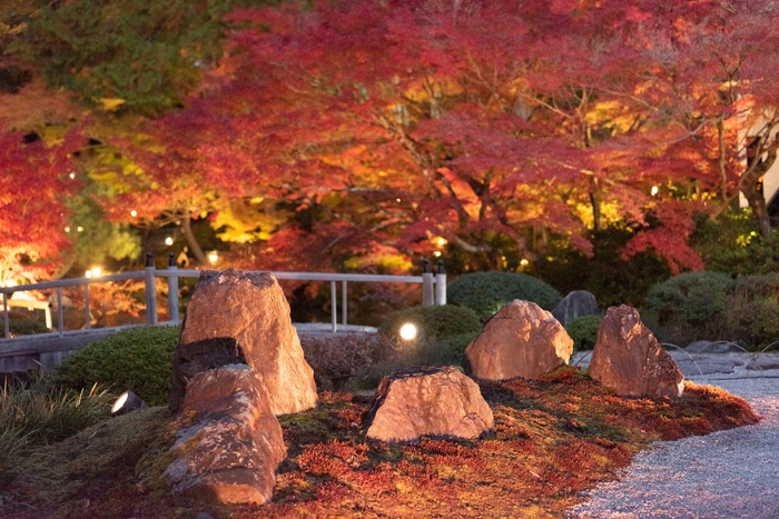 紅葉のライトアップ