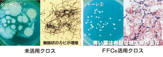 FFC