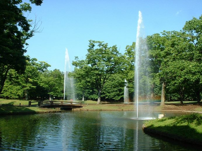 都会で一番広い空が見える森林公園です