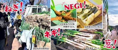 ～限定メニューで美味しさ新発見！深谷ねぎ「即売会」に、焼く・食べるの「ねぎ焼きコーナー」も～