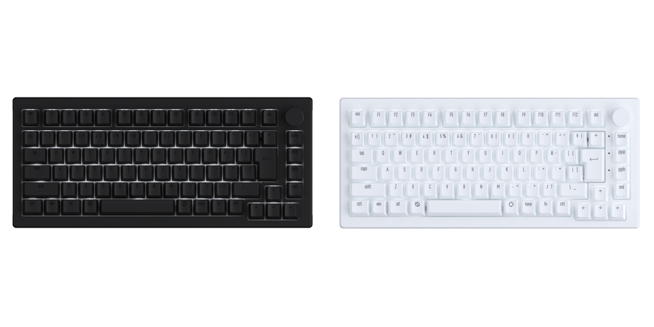 5075S HE JP (左Dark Night _右Moon Light White)