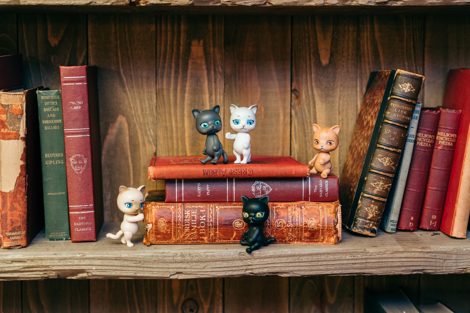 ラインナップ画像(1)