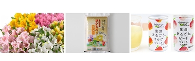 (左から)アルストロメリア、氷温熟成米(コシヒカリ)、信州産りんごジュースまたは桃ジュース ※写真のお米は5kgのものです。プレゼントでお渡しするのは300gです。