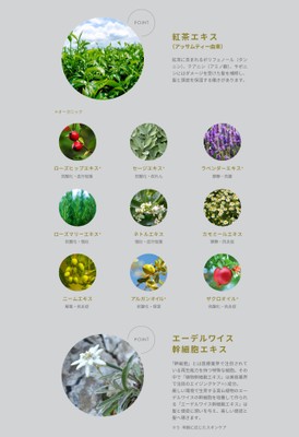 TEA HERB