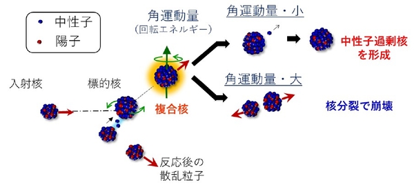 図1 多核子移行反応と中性子過剰核の作り方
