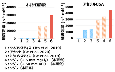 図2