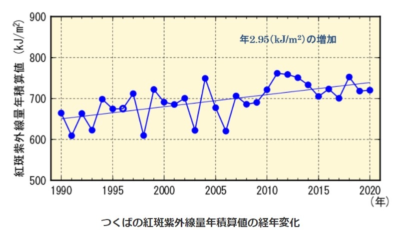 引用：つくばの紅斑紫外線量年積算値の経年変化（気象庁）
