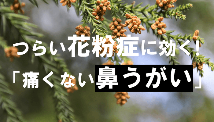 つらい花粉症に効く！「痛くない鼻うがい」