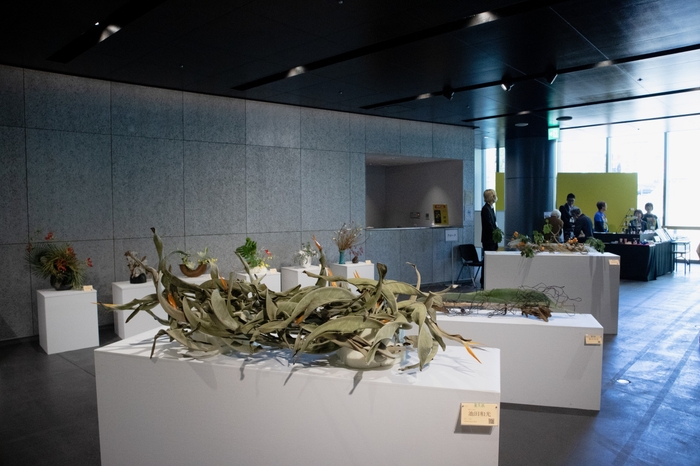 展示風景(2024)