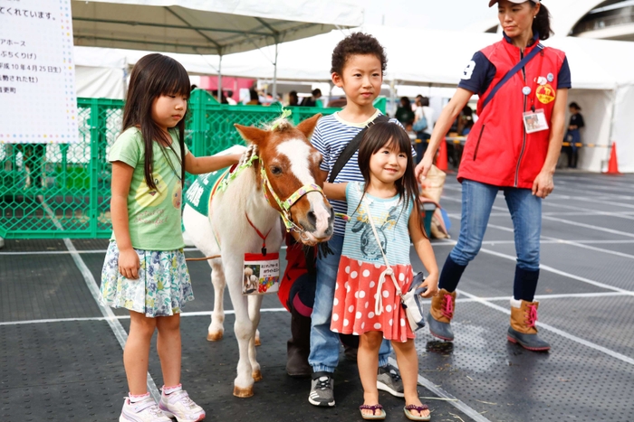 馬とのふれあい