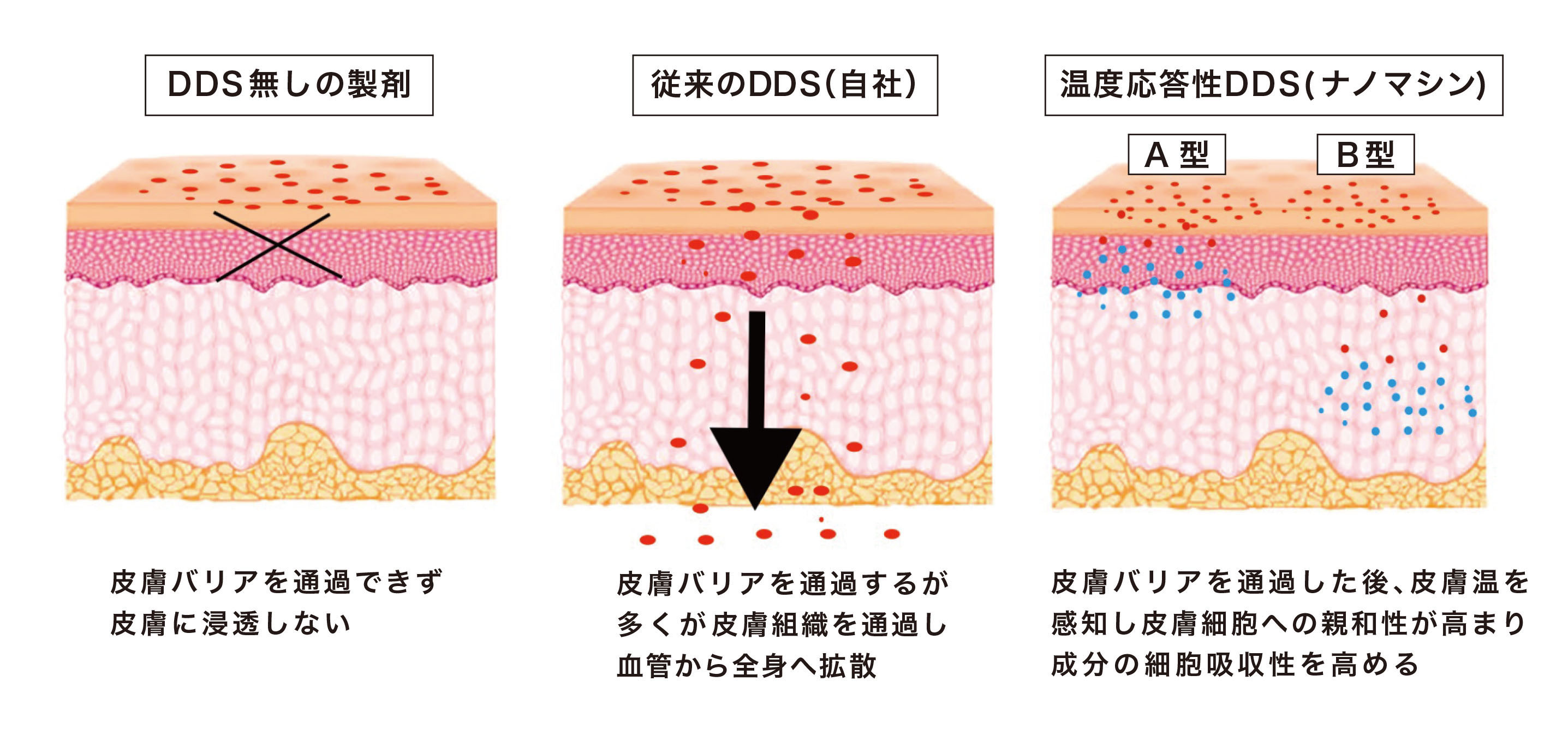 (図4)ナノマシンが皮膚細胞に内包成分を高濃度で送達できる仕組みのイメージ
