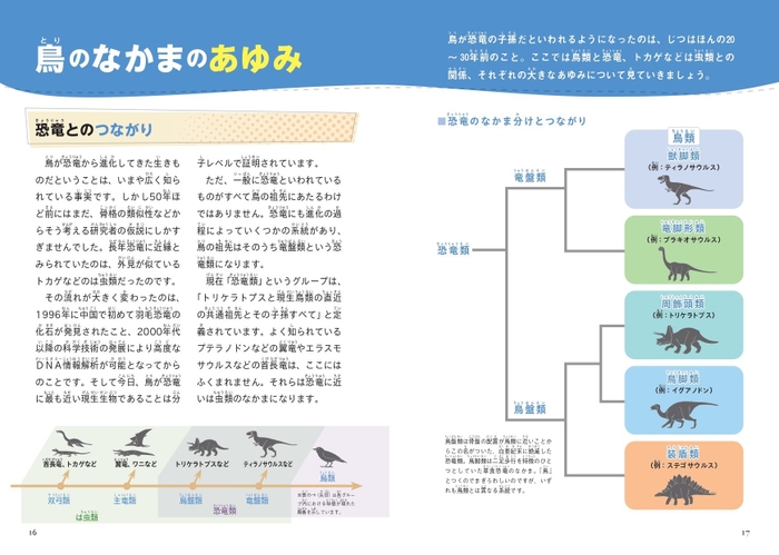 鳥のなかまのあゆみ