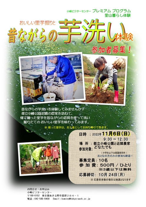 表面