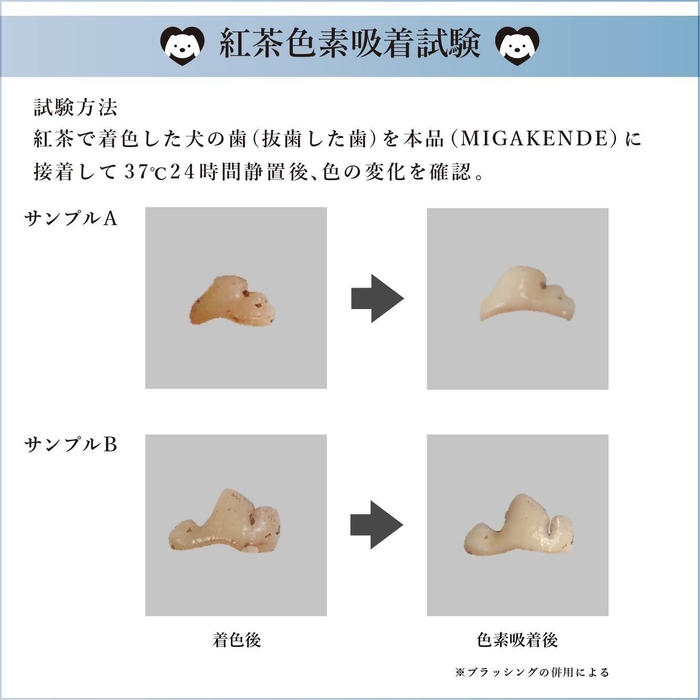 色素吸着試験