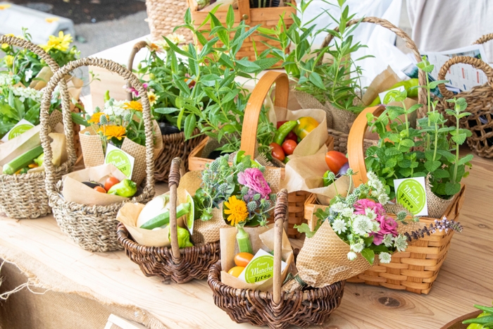 ポタジェ風、花と採れたての野菜バスケットのイメージ図