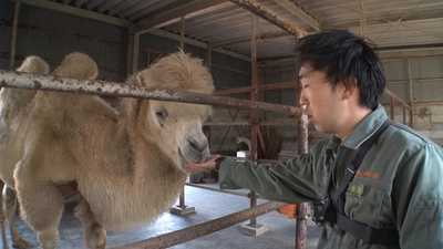 〇〇に年間４０００万円！？動物園の経費から見えてくるものとは…４/５（日）BACKSTAGE（バックステージ）