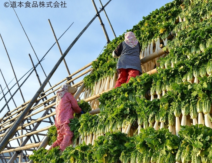 画像3:干し大根づくりの様子