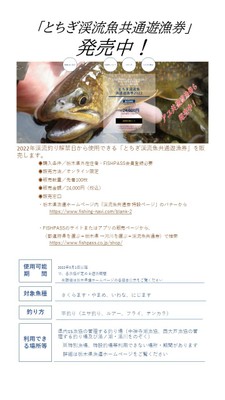 とちぎの渓流共通遊漁券チラシ(表)