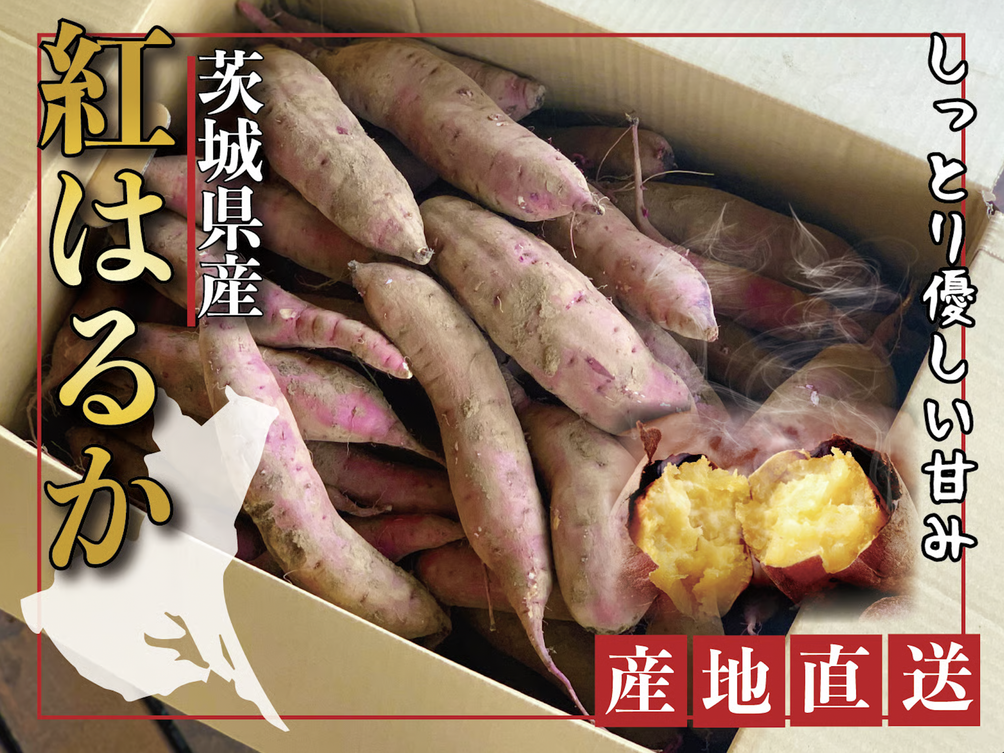 【地産地消×秋の味覚】茨城県土浦市「いのちの郷」にて、ねっとり甘い「紅はるか」のさつまいも掘り＆焼き芋体験イベントを10月10日(土)に開催！