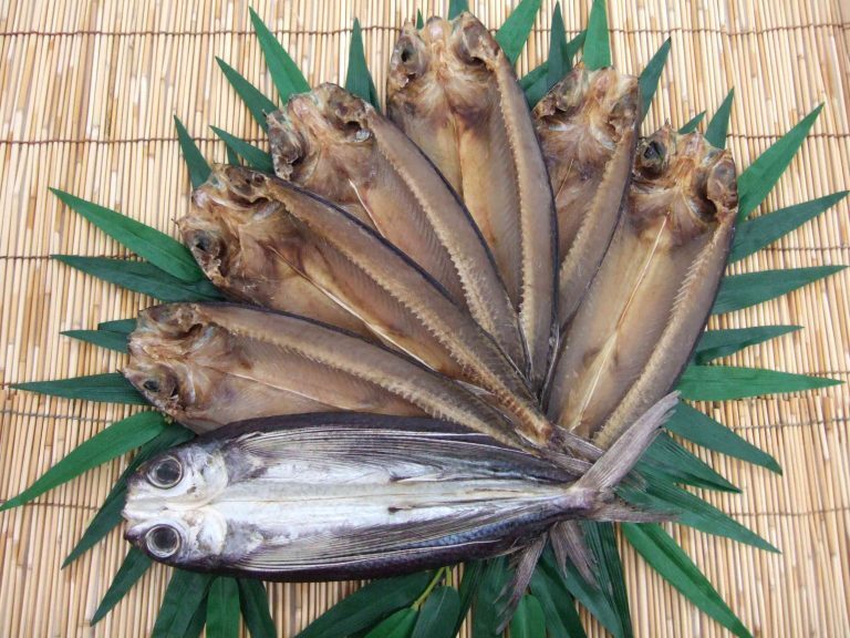 新島／式根島