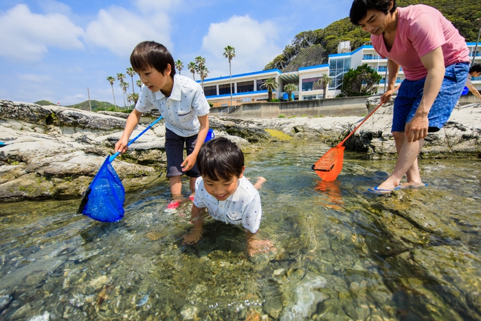 ホテル前の岩場