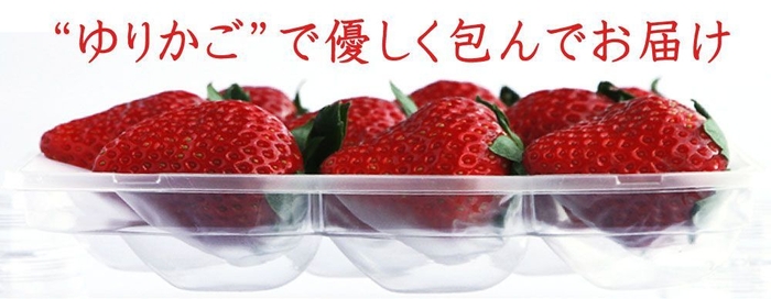いちごが傷つかないようにやさしくゆりかごのように