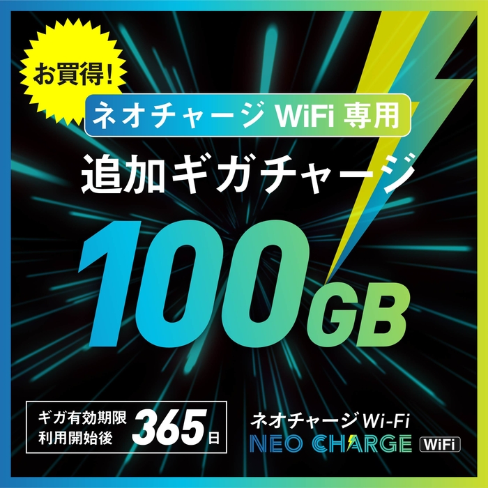 追加100GB